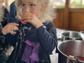 IMG_4268